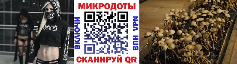 МЕГА как войти дарнет шоп Лобня Псилоцибиновые грибы MAGIC MUSHROOMS